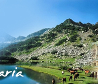 bulgaria hotels: Pirin national park bulgaria